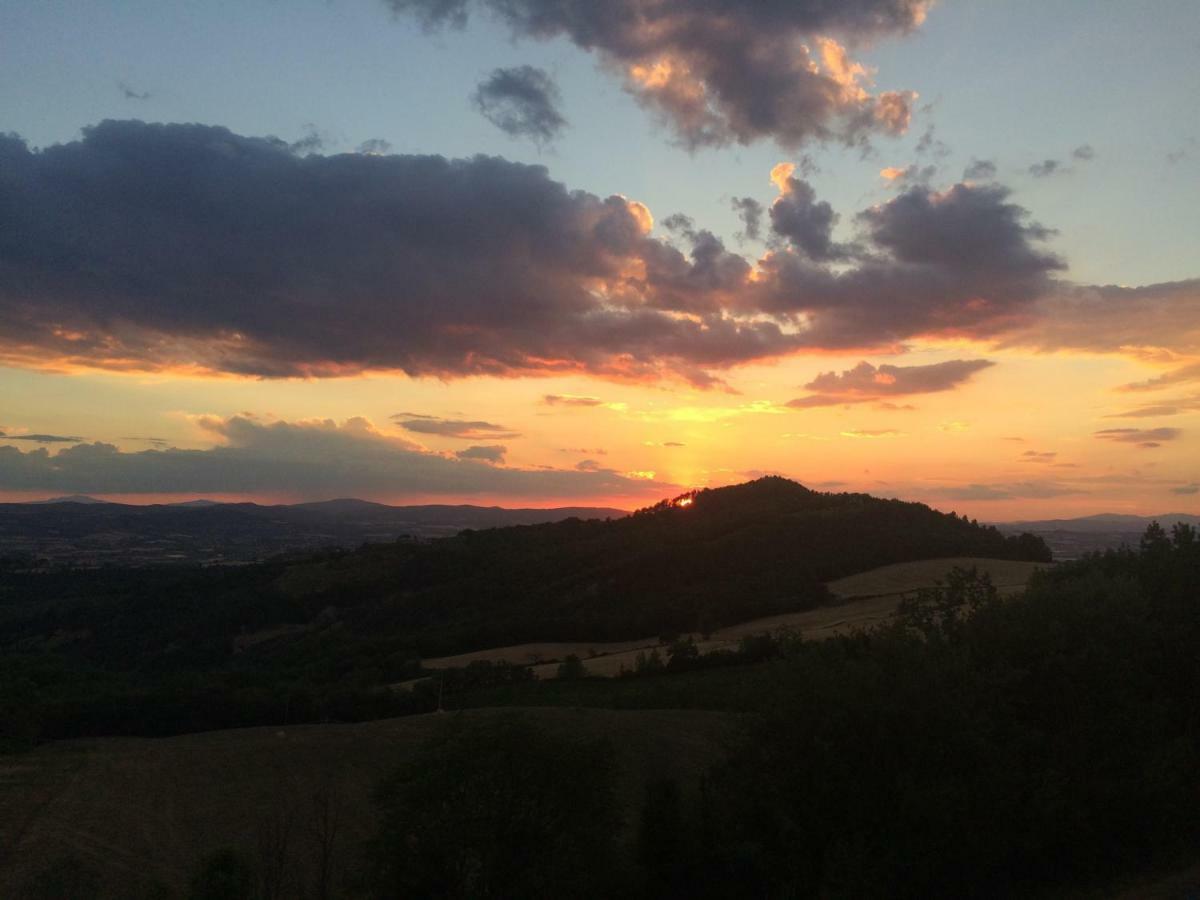 Appartamento UMBRIA, Casa Sagrantina con PISCINA e pergolato Collazzone Esterno foto