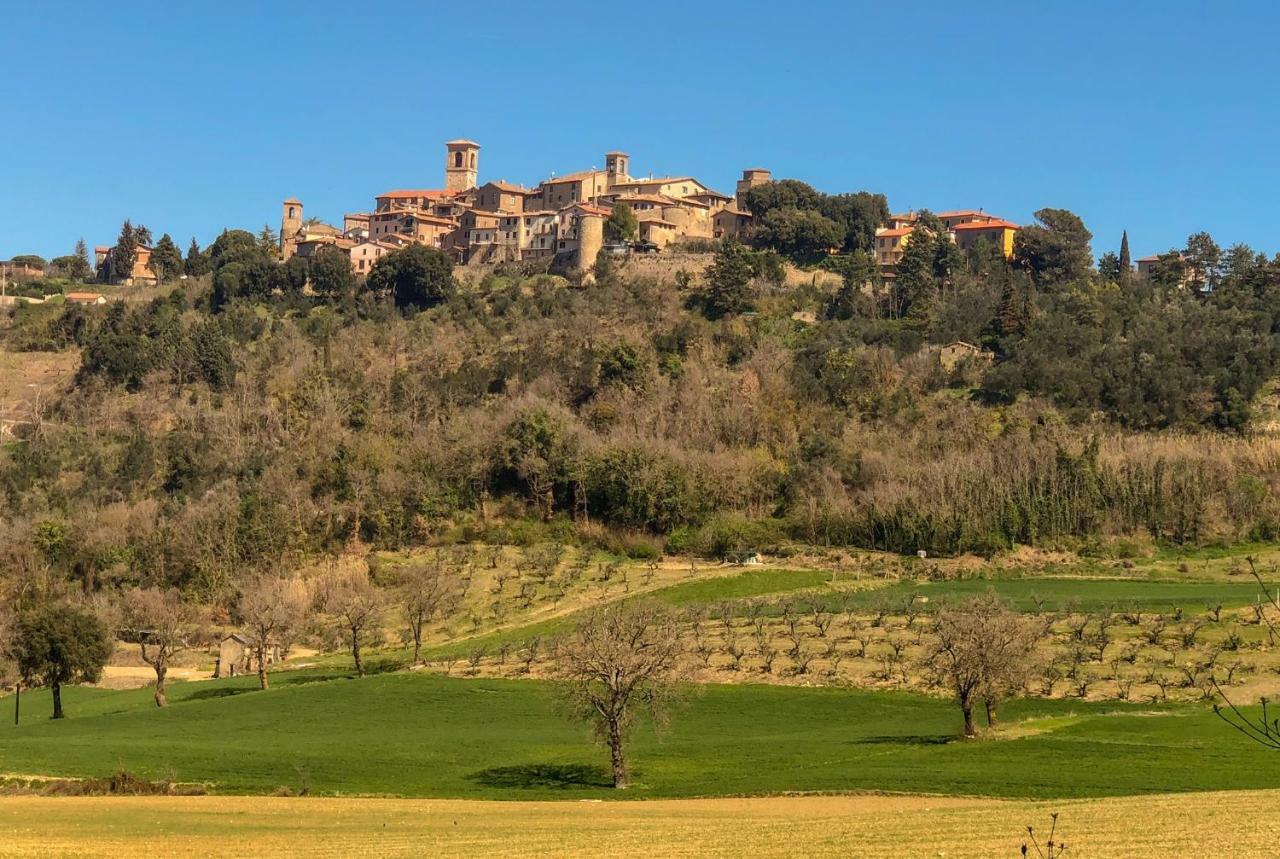 Appartamento UMBRIA, Casa Sagrantina con PISCINA e pergolato Collazzone Esterno foto