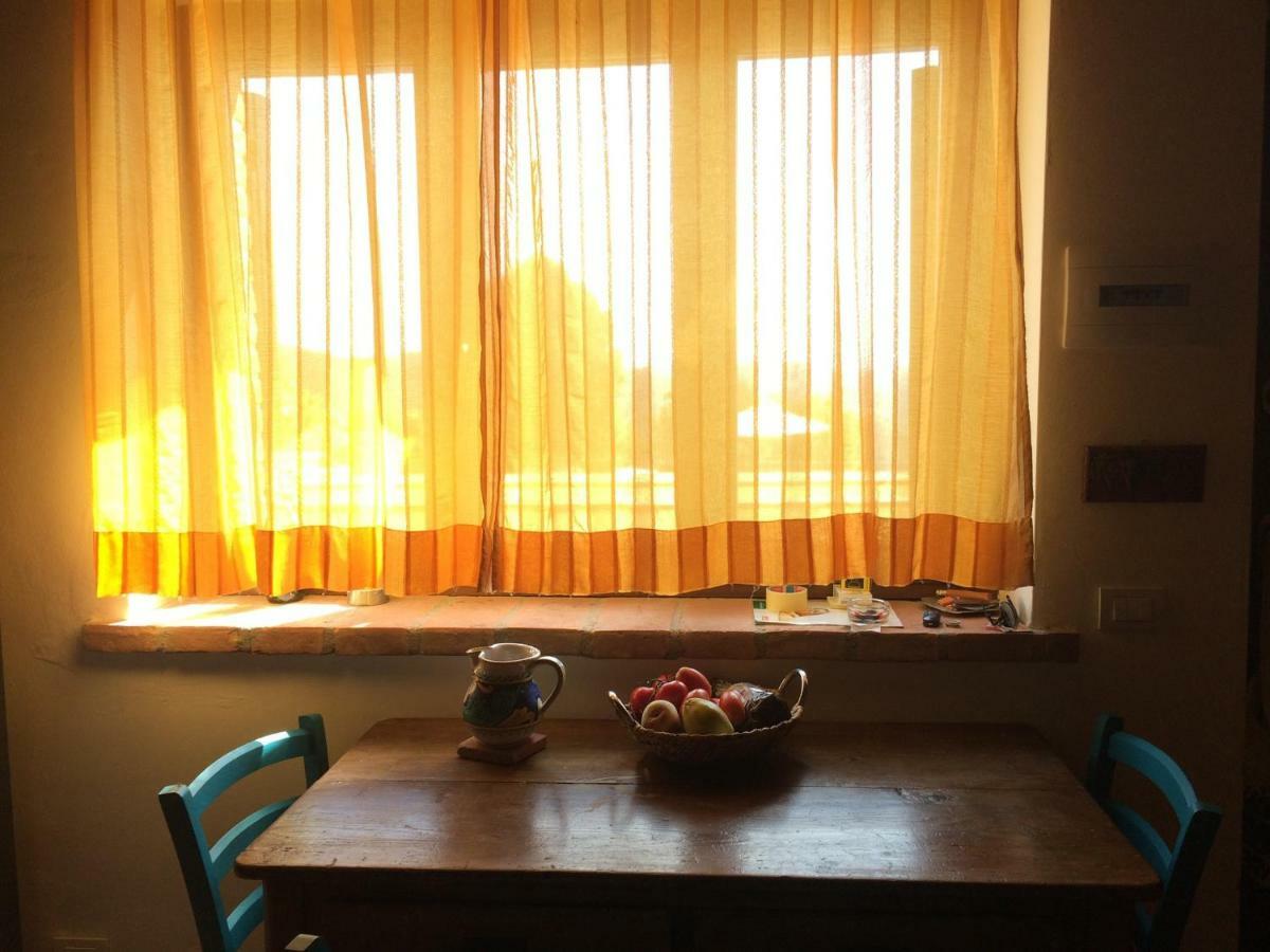 Appartamento UMBRIA, Casa Sagrantina con PISCINA e pergolato Collazzone Esterno foto